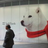 白い犬、赤いマフラー
