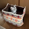 「猫のお家」が壊される