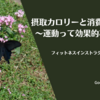 摂取カロリーと消費カロリー～運動って効果的なの？～