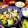 茂蔵枝豆豆腐と鮭ジャーキーパルミサラダ