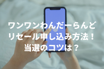 【ワンワンわんだーらんど】リセール申し込み・購入方法！当選のためのコツと注意点