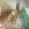 みそあん467日目