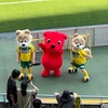 フクアリ☆リポート岡山戦