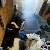 バトン１３歳