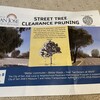 Street Tree Clearance Pruning