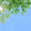 39℃越え