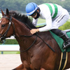 競馬初心者必見☆馬券予想🔥〜マーメイドS〜荒れる牝馬ハンデ重賞！