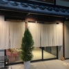 京都　シクタンミホ