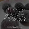 2529食目「ブドウって凍らせたらどうなるの？」冷凍保存するとどうなるのか。