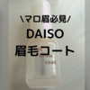 【歴代も】やっと見つけた！DAISO汗対策のアイブロウコート