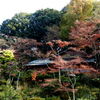 1312　根津美術館　井戸茶碗