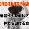 30代の体力低下がやばい！生活習慣を見直して体力を付ける方法		 		 		