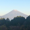 今朝の景色2