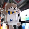 【京都市バス】2024年の夏、「ナスバちゃん」を見かけたらラッキーかも？ナスバス！