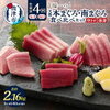 焼津直送！天然本マグロ中トロ定期便、半年間の贅沢体験【ふるさと納税】