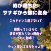 変わりたいのに変われない、変化変容が上手くいかない方へ