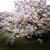 木曜日、金曜日、休みます。