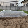 足場に負けない春の家庭菜園｜今年は少し遅れても大丈夫
