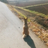 爽やかな秋晴れ～紅葉の秋を感じながらの散歩道～