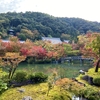 【モデルコース】南禅寺～永観堂～銀閣寺を散策！京都の四季を堪能する心潤いコース