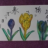 母の絵手紙