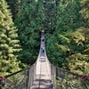 夏休みの始まり・Lynn Canyon 吊り橋