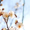 旅行最終日（in神戸）