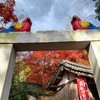 【京都】亀岡、『苗秀寺』に行ってきました。 紅葉 京都旅