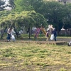 今年度最初の公園清掃日