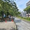(巻四十五) 夢のない夢から覚めて菫かな(三玉一郎)