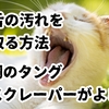 美容と健康の新常識？アーユルヴェーダ式『舌磨き→オイルうがい』で始める心地よい朝