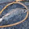 小さい魚を釣る人は性格がセコくなるのか？