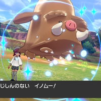 あかし持ちポケモンをオシャボで厳選する方法 ポケモン ソードシールド おきたんの秘密基地 あかし持ちポケモンをオシャボで厳選する方法 ポケモン ソードシールド おきたんの秘密基地