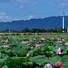 与謝蕪村の「奥の細道図巻」見つかる…「一連の傑作につながる重文級の発見」