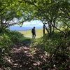 八ヶ岳の森は大人の夏休み