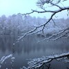 三宝寺の雪