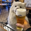 続々　あものいない隙に…