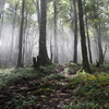 【登山】塔丸～剣山山系が一望できます～