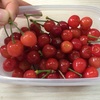 さくらんぼ🍒