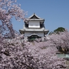 桜日和「石川門」