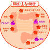 アトピーを完治させるための簡単な６つの腸内環境改善法！