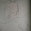 徒然なる誤解