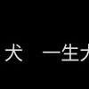 【勤労報告】春は曙、のんびり倉庫漁り