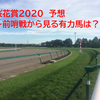 オークス2020　予想　デアリングタクト２冠なるか？