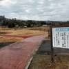 【楢葉町おすすめ観光スポット】白鳥の飛来地へ行ってきた！～上繁岡大堤の白鳥～