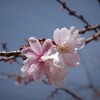 西郷川河口公園