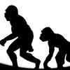 『Excelすら使えなかった「原始人」が…』というメルマガタイトルを読んで人類の進化を考えた！