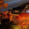 清水寺ライトアップの混雑状況と回避のポイント！見頃はいつ？2025年紅葉状況｜見どころを写真で紹介（京都府京都市東山区）