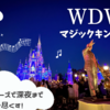 【WDW旅行記】アフターアワーズで深夜のパークを遊び尽くす！