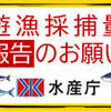 2022年クロマグロ釣り規制、一部解除